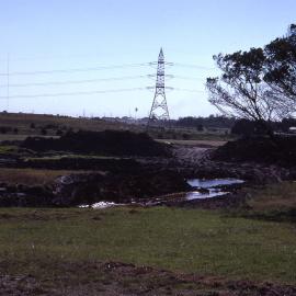 First pond early, Shortland Wetlands, Shortland, NSW, 1986-June 1988