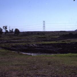 First pond early, Shortland Wetlands, Shortland, NSW, 1986-June 1988