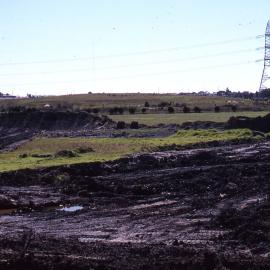 First pond early, Shortland Wetlands, Shortland, NSW, 1986-June 1988
