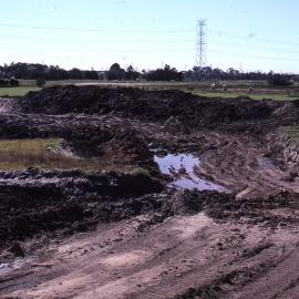 First pond early, Shortland Wetlands, Shortland, NSW, 1986-June 1988
