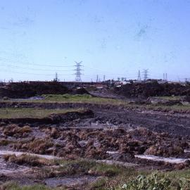 First pond early, Shortland Wetlands, Shortland, NSW, 1986-June 1988