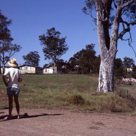 Arboretum site, Shortland Wetlands, NSW, 1986-June 1988