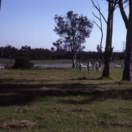 Arboretum site, Shortland Wetlands, NSW, 1986-June 1988