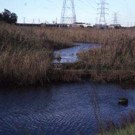 Shortland Wetlands, NSW, June 1986