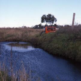 Filling Pond 1 , Shortland Wetlands, NSW, June 1986