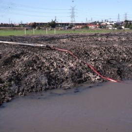 Filling Pond 1 , Shortland Wetlands, NSW, June 1986