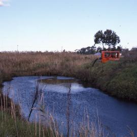 Filling Pond 1 , Shortland Wetlands, NSW