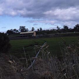 Filling Pond 1 , Shortland Wetlands, NSW, June 1986
