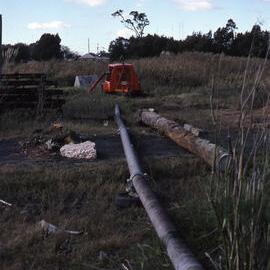 Filling Pond 1 , Shortland Wetlands, NSW, June 1986