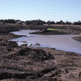 Filling Pond 1 , Shortland Wetlands, NSW, June 1986
