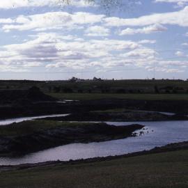 Filling Pond 1 , Shortland Wetlands, NSW