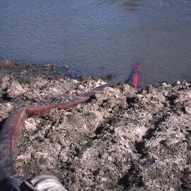 Filling Pond 1 , Shortland Wetlands, NSW, June 1986