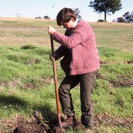 Community Employment Program worker, Shortland Wetlands, NSW, 1986-June 1988
