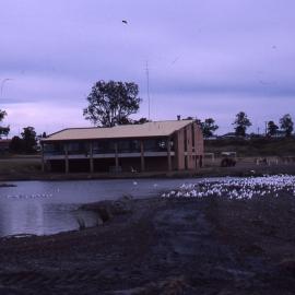 Pond full, Shortland Wetlands, NSW, 1986