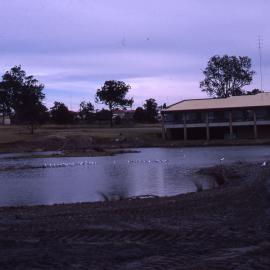 Pond full, Shortland Wetlands, NSW, 1986