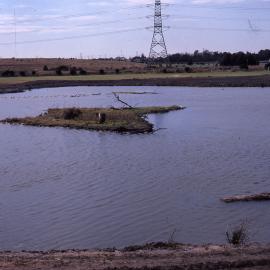 Pond full, Shortland Wetlands, NSW, 1986