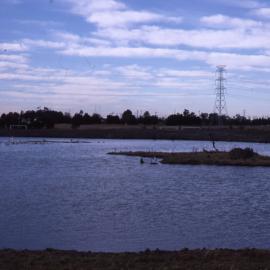Pond full, Shortland Wetlands, NSW, 1986