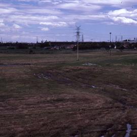 Football field, Shortland Wetlands, NSW, 1986-June 1988