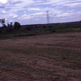 Football oval, Shortland Wetlands, NSW, 1986-June 1988