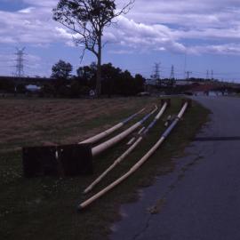 Goal posts, Shortland Wetlands, NSW, 1986-June 1988