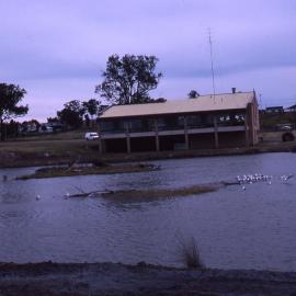 Pond full, Shortland Wetlands, NSW, 1986