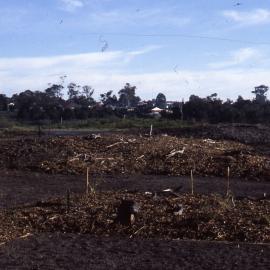 Shortland Wetlands, NSW, 1986-June 1988