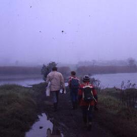 Walkers, Shortland Wetlands, NSW, 1986-June 1988
