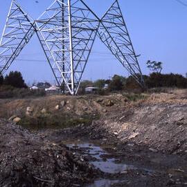 Canoe Trail, Shortland Wetlands, NSW