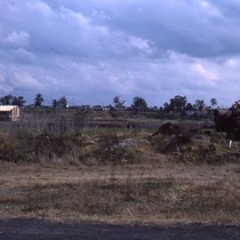 Canoe Trail, Shortland Wetlands, NSW, 1986-June 1988