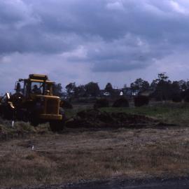 Canoe Trail, Shortland Wetlands, NSW, 1986-June 1988