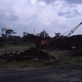 Canoe Trail, Shortland Wetlands, NSW, 1986-June 1988