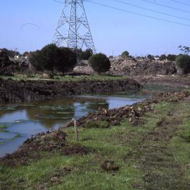 Canoe Trail, Shortland Wetlands, NSW, 1986-June 1988