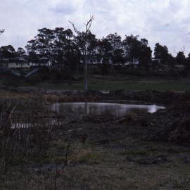 Demonstration dam, Shortland Wetlands, NSW, 1986-June 1988