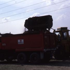 Canoe Trail, Shortland Wetlands, NSW, 1986-June 1988