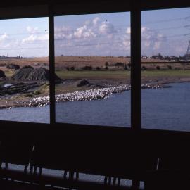 Wetlands, window, Shortland Wetlands, NSW, 1986-June 1988