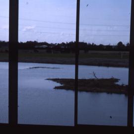 Wetlands building window, Shortland Wetlands, NSW, 1986-June 1988