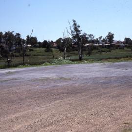 Shortland Wetlands, NSW, 1986-June 1988