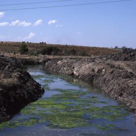 Canoe Trail, Shortland Wetlands, NSW, 1986-June 1988