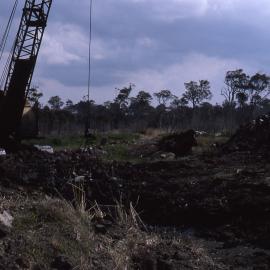 Canoe Trail, Shortland Wetlands, NSW, 1986-June 1988