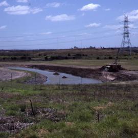 Canoe Trail, Shortland Wetlands, NSW, February 1987