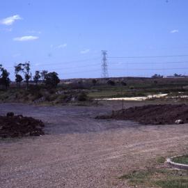 Shortland Wetlands, NSW, February 1987