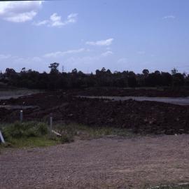 Shortland Wetlands, NSW, February 1987