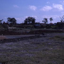 Shortland Wetlands, NSW, June 1987