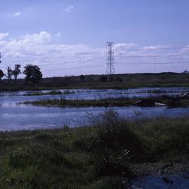 Shortland Wetlands, NSW, June 1987
