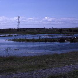 Shortland Wetlands, NSW, June 1987