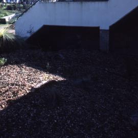 Shortland Wetlands, NSW, June 1987