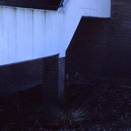 Shortland Wetlands, NSW, June 1987