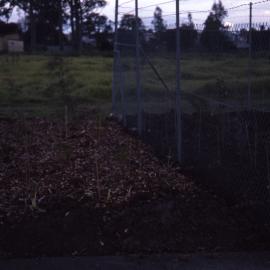 Shortland Wetlands, NSW, 1986-June 1988