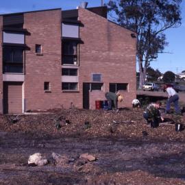 Working bee, Shortland Wetlands, NSW, August 1987