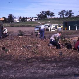 Working bee, Shortland Wetlands, NSW, 1986-June 1988